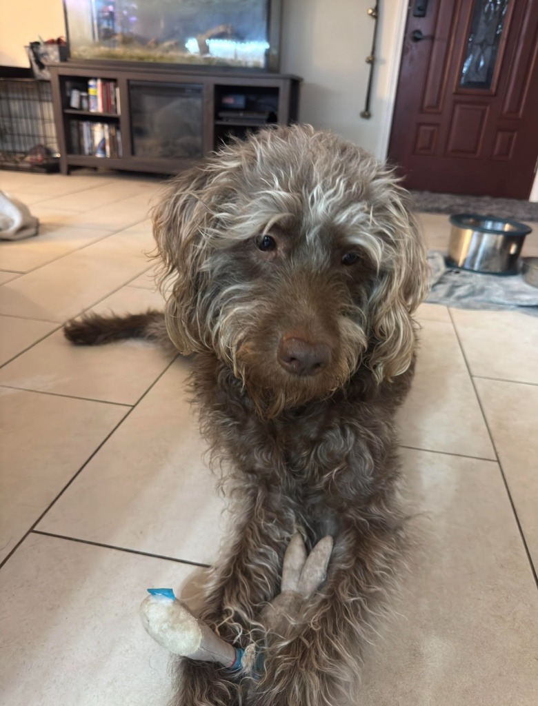 Tucker
