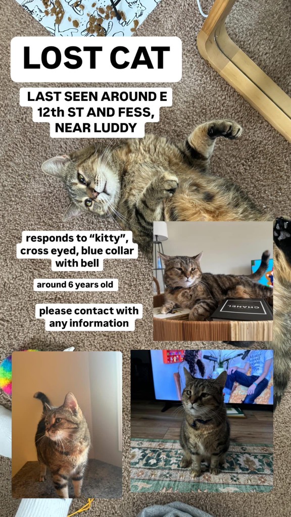 Lost Animal City of Bloomington, Indiana