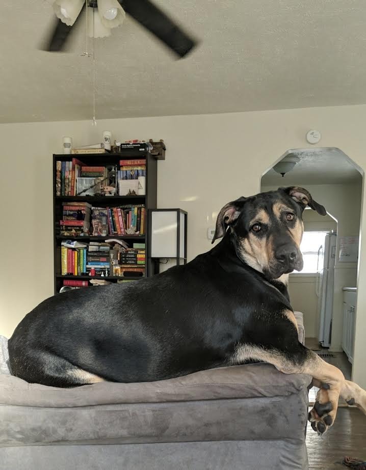 Tonks