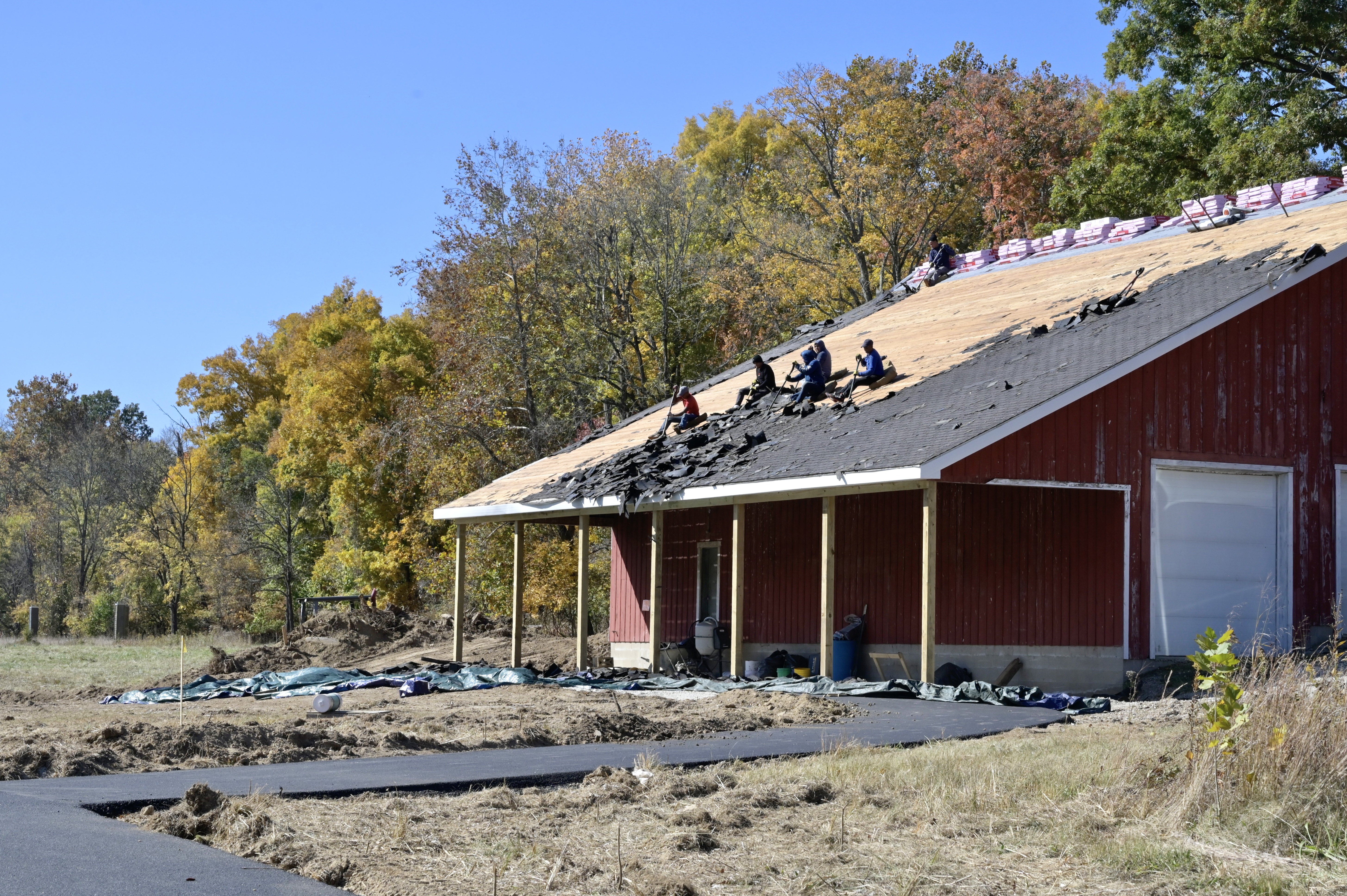 Photo shows a red barn at Goat Farm Park, with six people sitting on the roof and scraping off black shingles to reveal light colored decking beneath.