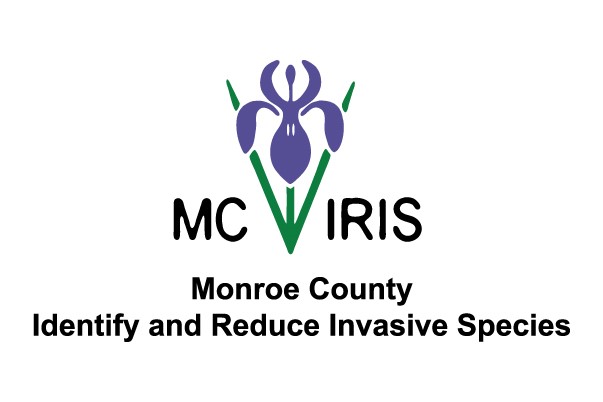MC-IRIS logo