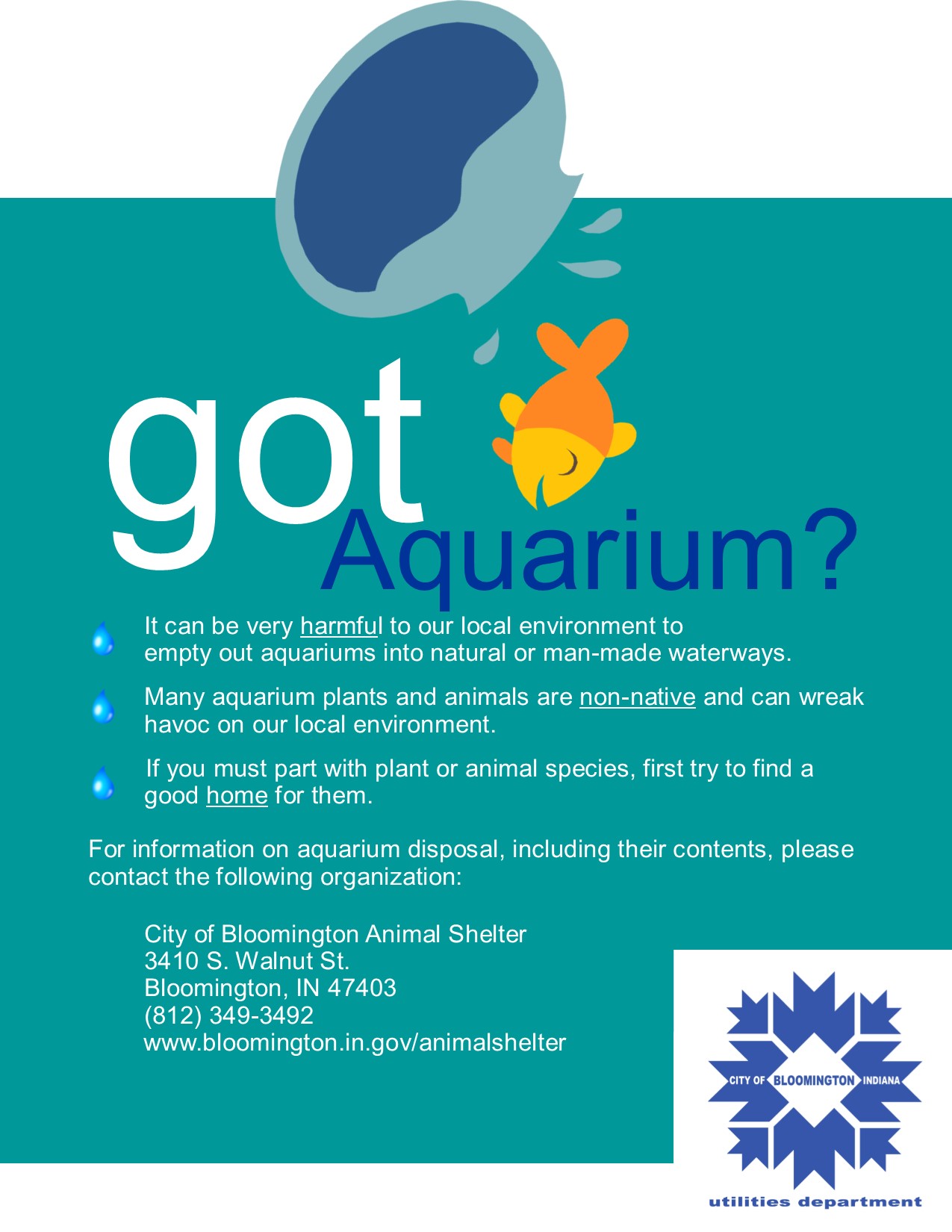 Got Aquarium?