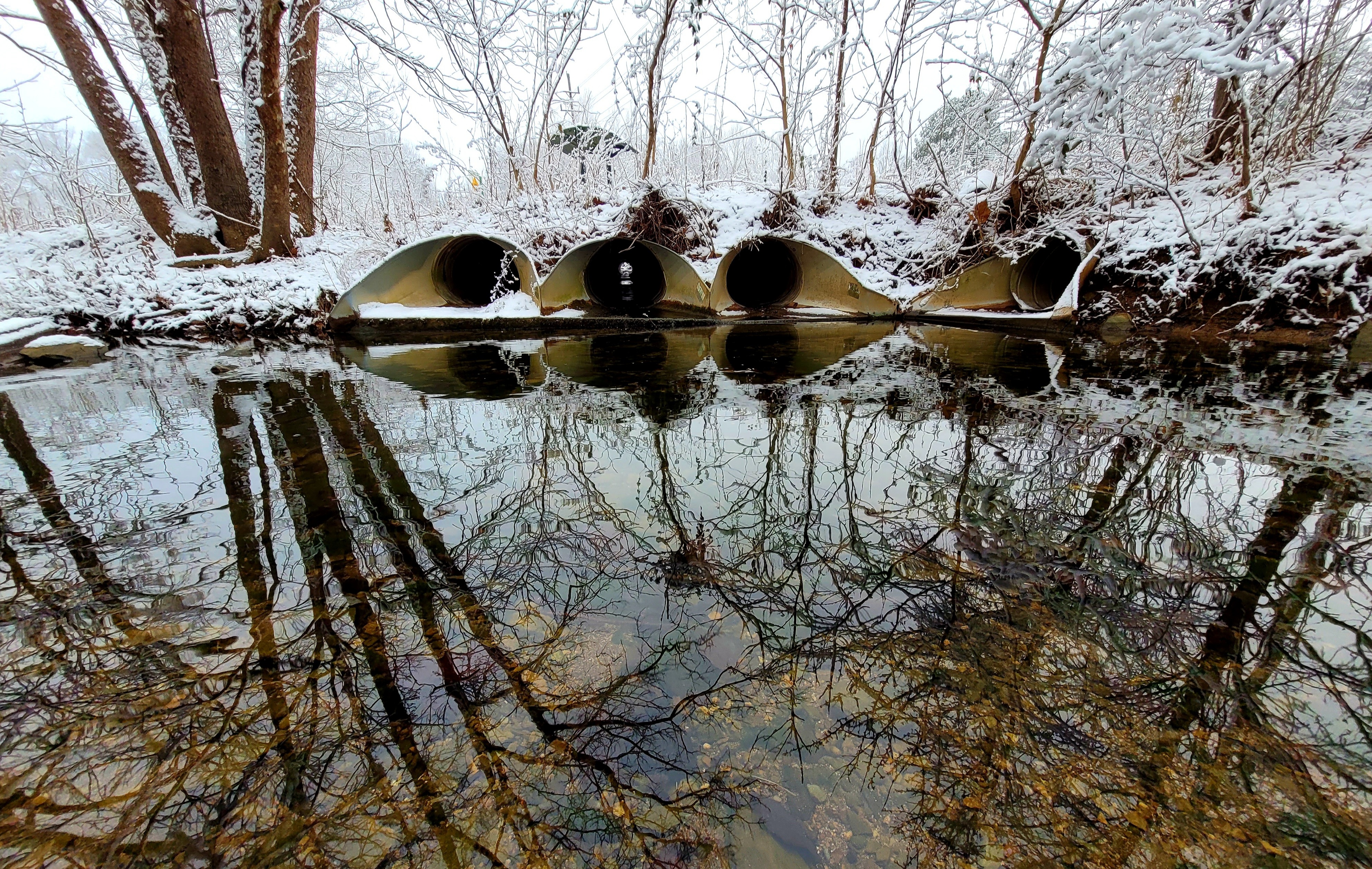 Photo of tree reflections with stormwater outlets in background - Jackson Creek Trail @ Rogers Family Farm
