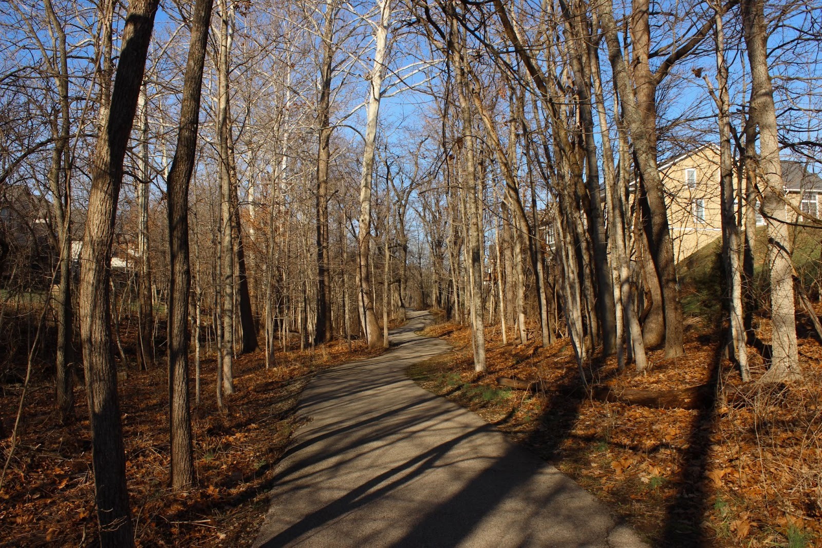 The asphalt surface Southeast Trail traverses a wooded area near the Renwick subdivision.