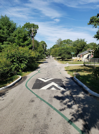 Photo shows a speed cushion between curbs on a tree-lined residential street. A single wavy, looping green line is painted on the street and continues into the distance. 