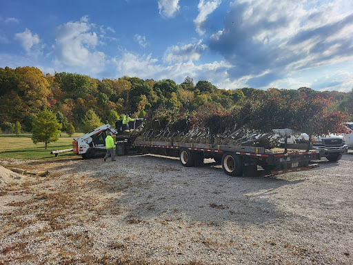 Image shows two workers in bright yellow sweatshirts, one on the truck and one on the ground, work with a flatbed truck full of trees with burlap-wrapped rootballs. Next to the flatbed truck is a Bobcat front-end loader.