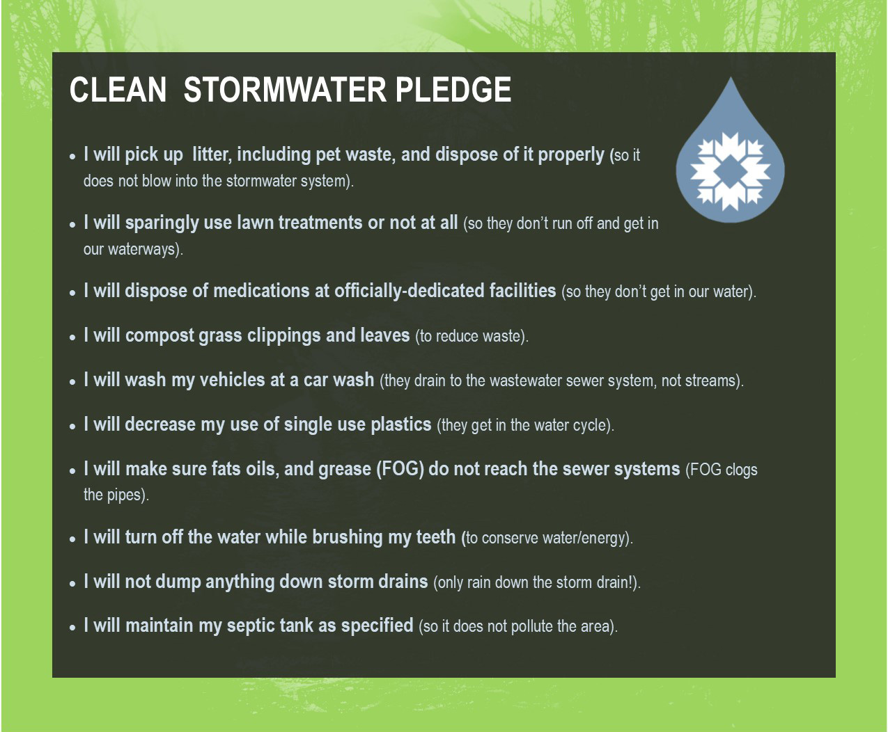 Clean Stormwater Pledge
