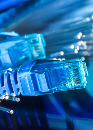 Network cables and optic fibers on bright blue background