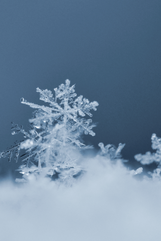 Macro photo of a snowflake on top of snow on a dark blue background