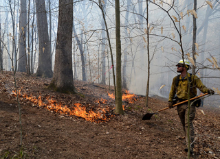 Habitat Solutions staff work a fire line during a prescribed burn at Griffy Lake in March 2020.