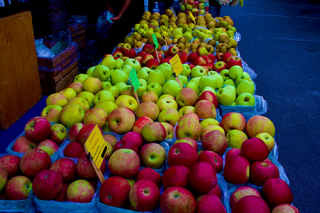 Varieties of locally grown apples at the Farmers' Market by Merrill Hatlen