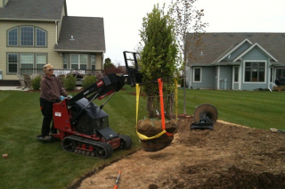 An image of a woman using a Toro Dingo machine to remove and replant a tree in a residential backyard