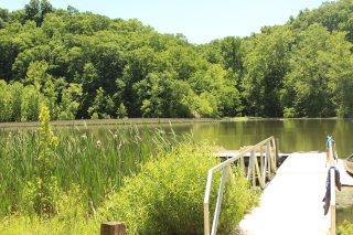 Griffy Lake and boat launch in summer.