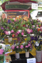Market Booth in May