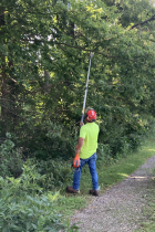 Tree trimming Bloomington Rail  trail