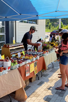 Peach and honey vendors selling farm products on brick plaza at Switchyard Park