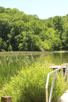 Griffy Lake and boat launch in summer.